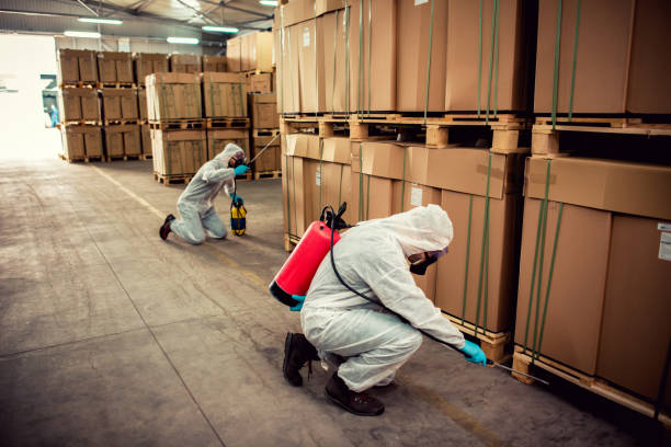 Best Best Pest Control Companies  in Hebron, IN