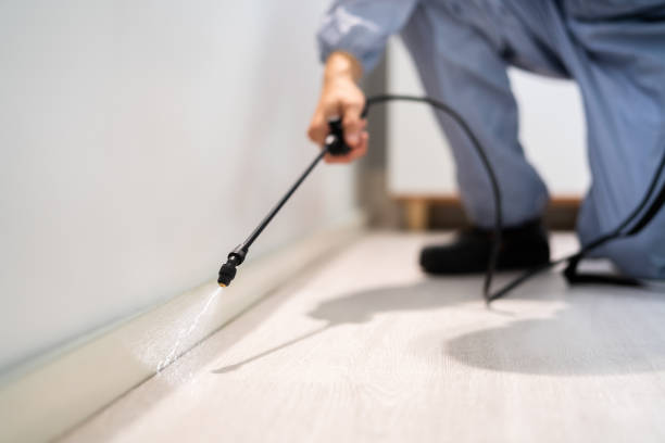 Flea Control Services in Hebron, IN