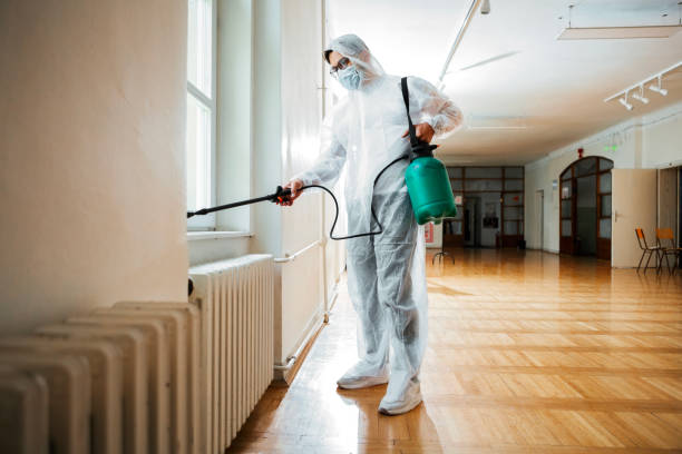 Best Termite Control Services  in Hebron, IN