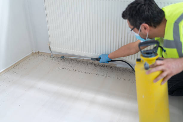 Best Local Pest Control Services  in Hebron, IN